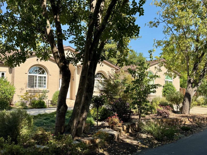 Front Yard Refresh in Palo Alto Front Yard Refresh in Palo Alto