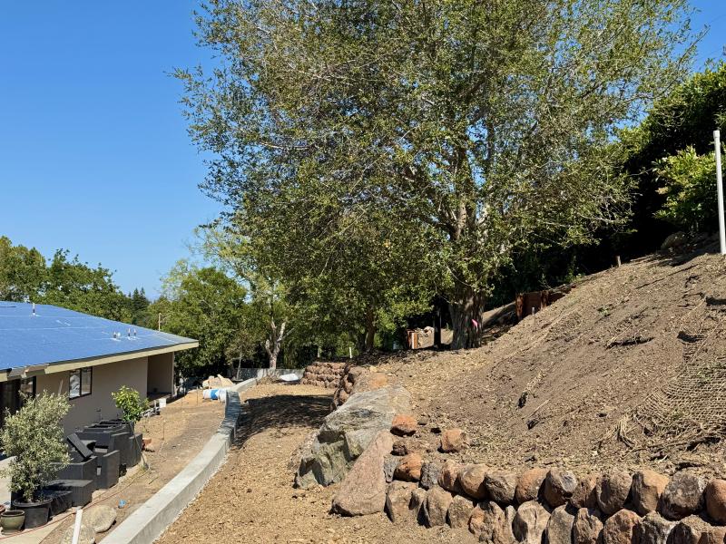 Hillside Transformation in Los Altos Hills
gallery image Hillside Transformation in Los Altos Hills
gallery image