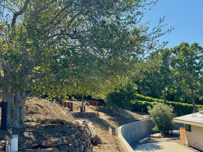 Hillside Transformation in Los Altos Hills
 Hillside Transformation in Los Altos Hills